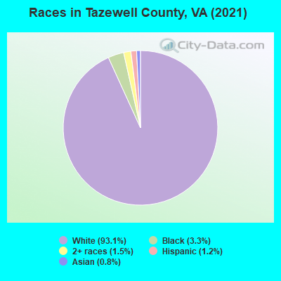 Races in Tazewell County, VA (2021)
