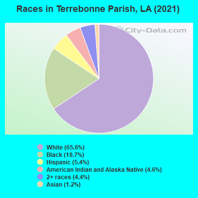 Races in Terrebonne Parish, LA (2021)