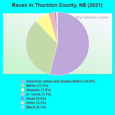 Races in Thurston County, NE (2019)