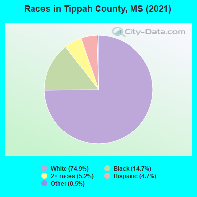 Races in Tippah County, MS (2022)