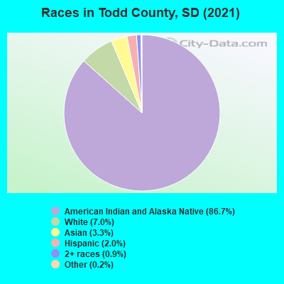 Races in Todd County, SD (2022)