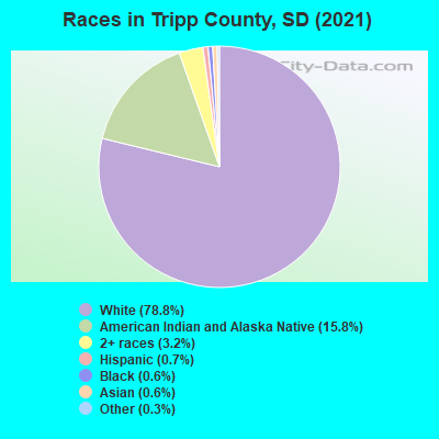 Races in Tripp County, SD (2022)