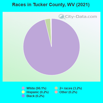 Races in Tucker County, WV (2022)