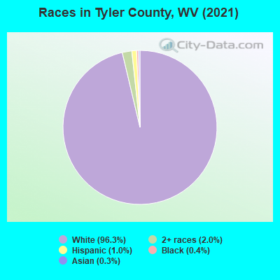 Races in Tyler County, WV (2022)