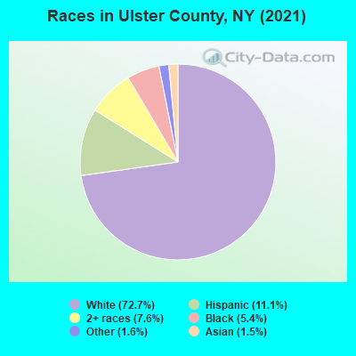 Races in Ulster County, NY (2021)