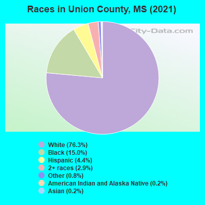 Races in Union County, MS (2019)