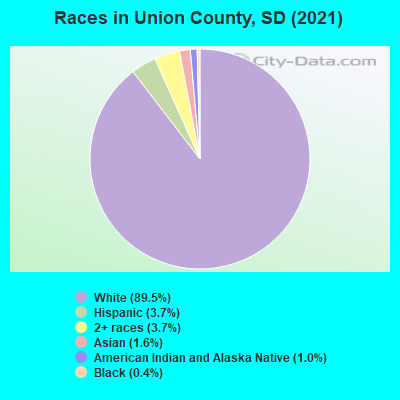 Races in Union County, SD (2021)