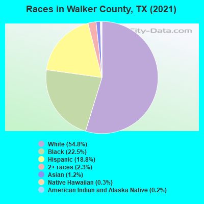 Races in Walker County, TX (2021)