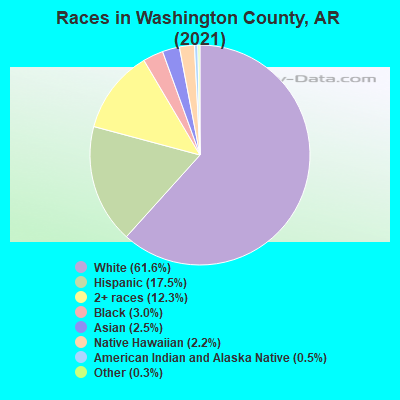 Races in Washington County, AR (2019)