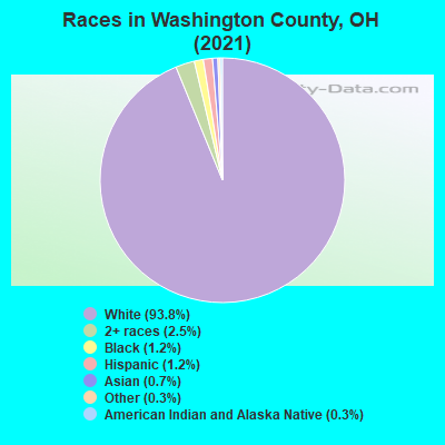 Races in Washington County, OH (2021)