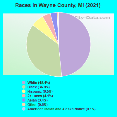 Races in Wayne County, MI (2019)
