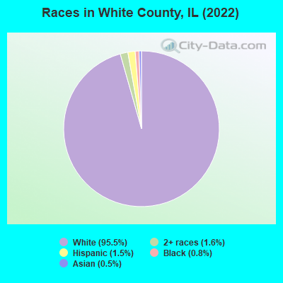 Races in White County, IL (2019)