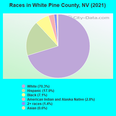 Races in White Pine County, NV (2021)