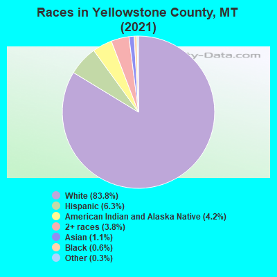 Races in Yellowstone County, MT (2019)