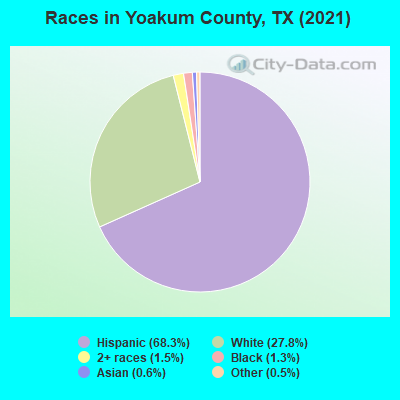 Races in Yoakum County, TX (2019)