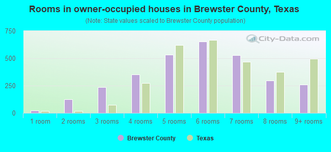 Rooms in owner-occupied houses in Brewster County, Texas