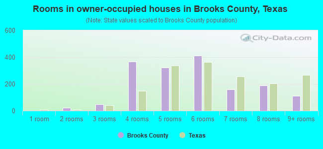 Rooms in owner-occupied houses in Brooks County, Texas