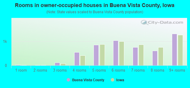 Rooms in owner-occupied houses in Buena Vista County, Iowa