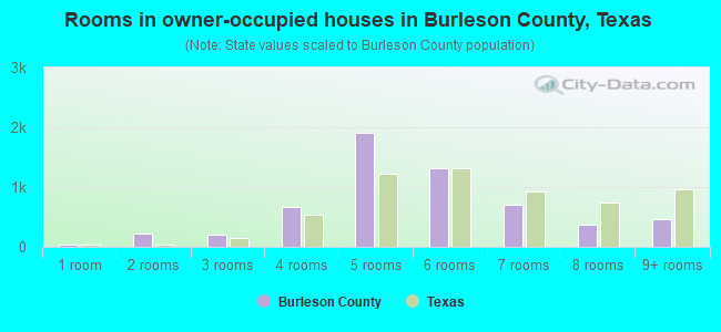 Rooms in owner-occupied houses in Burleson County, Texas