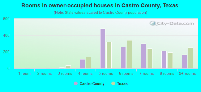 Rooms in owner-occupied houses in Castro County, Texas