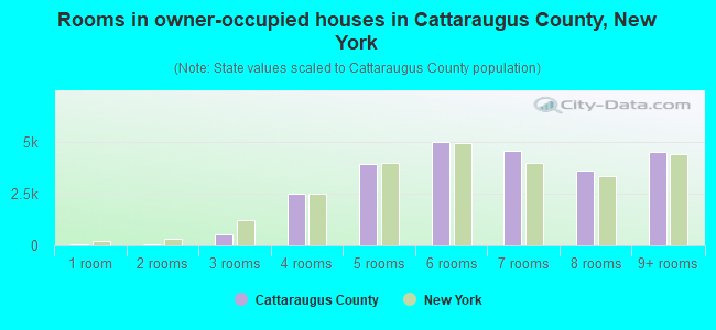 Rooms in owner-occupied houses in Cattaraugus County, New York