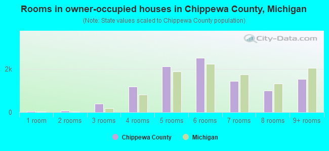 Rooms in owner-occupied houses in Chippewa County, Michigan
