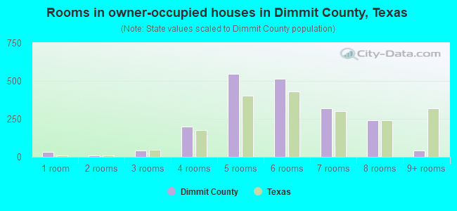 Rooms in owner-occupied houses in Dimmit County, Texas