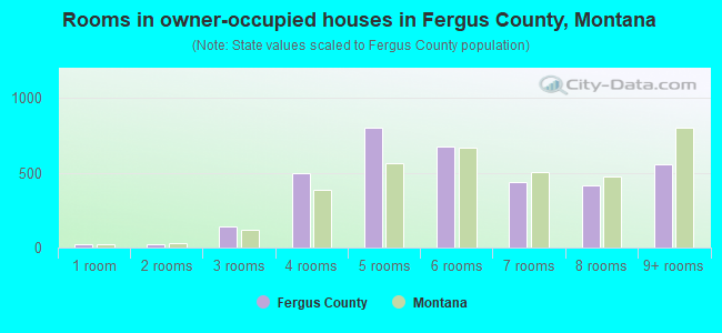 Rooms in owner-occupied houses in Fergus County, Montana