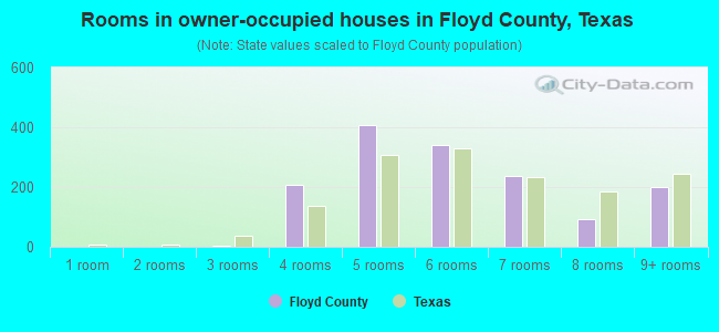 Rooms in owner-occupied houses in Floyd County, Texas