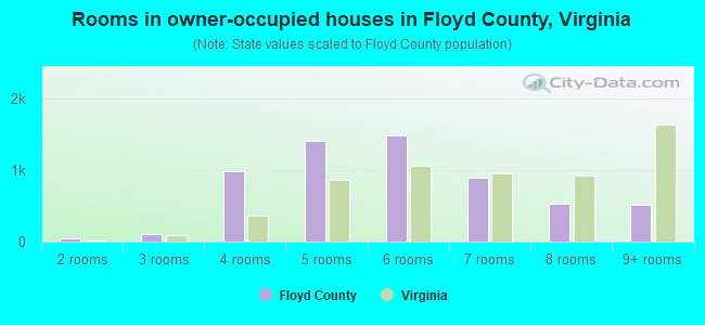 Rooms in owner-occupied houses in Floyd County, Virginia
