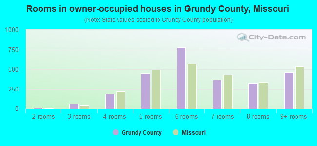 Rooms in owner-occupied houses in Grundy County, Missouri