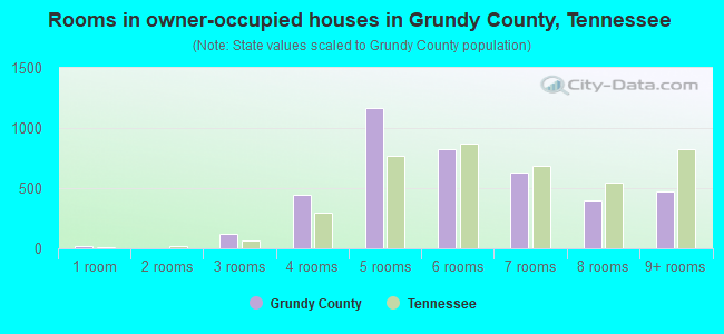 Rooms in owner-occupied houses in Grundy County, Tennessee