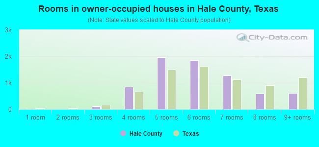 Rooms in owner-occupied houses in Hale County, Texas