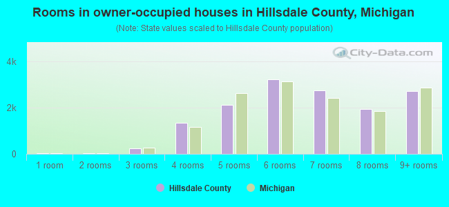 Rooms in owner-occupied houses in Hillsdale County, Michigan