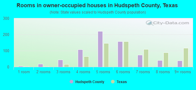 Rooms in owner-occupied houses in Hudspeth County, Texas