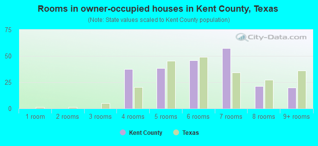 Rooms in owner-occupied houses in Kent County, Texas