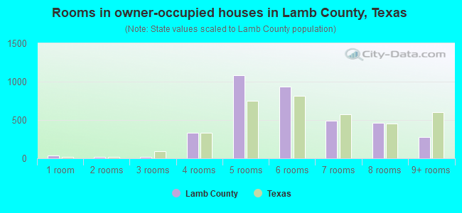 Rooms in owner-occupied houses in Lamb County, Texas