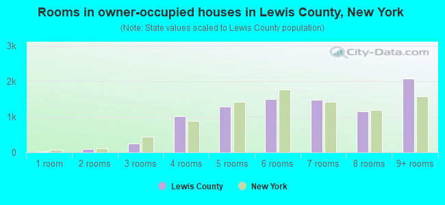 Rooms in owner-occupied houses in Lewis County, New York
