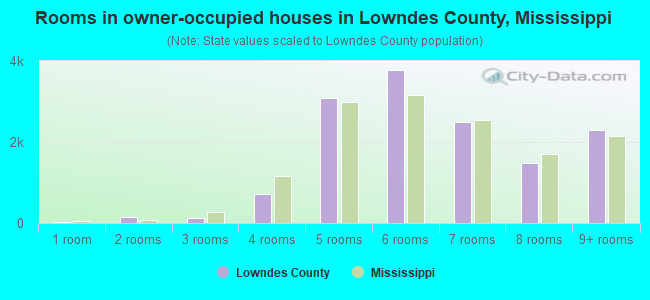 Rooms in owner-occupied houses in Lowndes County, Mississippi