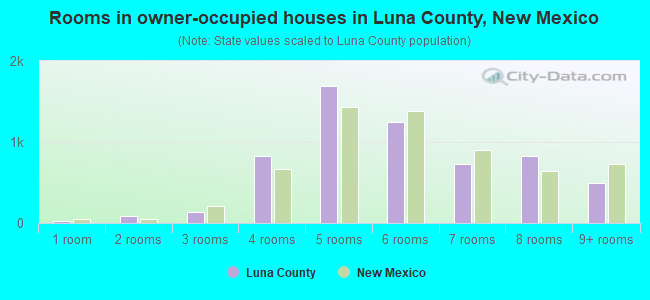 Rooms in owner-occupied houses in Luna County, New Mexico