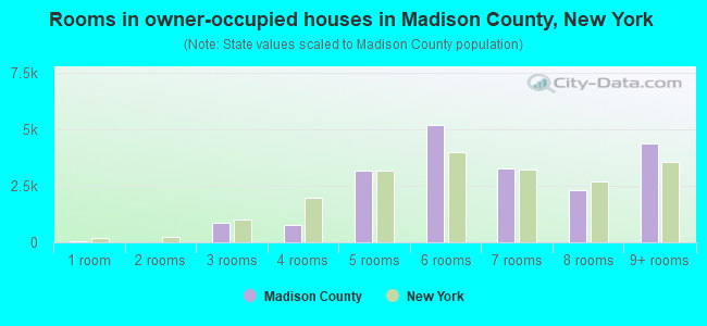 Rooms in owner-occupied houses in Madison County, New York
