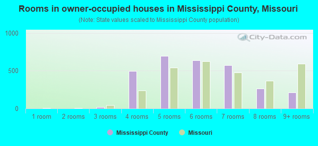 Rooms in owner-occupied houses in Mississippi County, Missouri