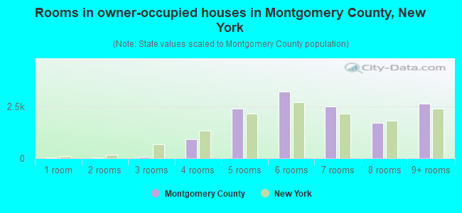 Rooms in owner-occupied houses in Montgomery County, New York