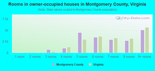 Rooms in owner-occupied houses in Montgomery County, Virginia
