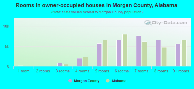 Rooms in owner-occupied houses in Morgan County, Alabama