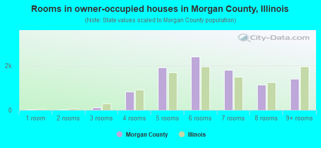 Rooms in owner-occupied houses in Morgan County, Illinois