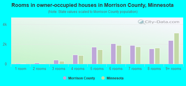Rooms in owner-occupied houses in Morrison County, Minnesota
