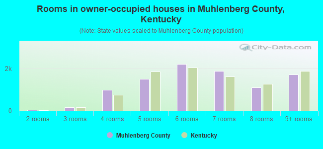 Rooms in owner-occupied houses in Muhlenberg County, Kentucky