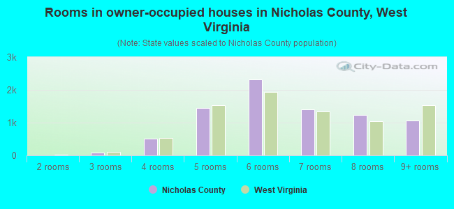 Rooms in owner-occupied houses in Nicholas County, West Virginia