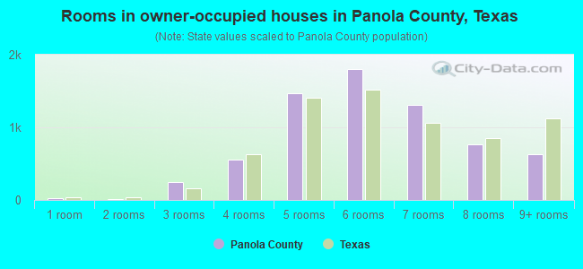 Rooms in owner-occupied houses in Panola County, Texas